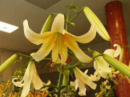 Foto: Dr. Peter Müller